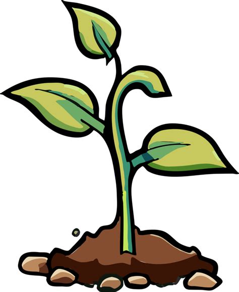 Plant Growing Png Graphic Clipart Design 23743683 Png