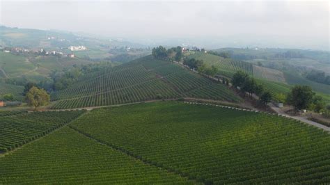 Vineyard Aerial View In Langhe Piedmont Italy 15453032 Stock Video At
