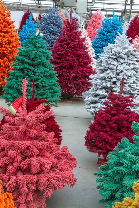 Are Real Or Fake Christmas Trees Better For The