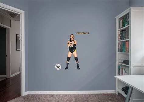 Bring The Action Of Wwe Into Your Home With This Set Of Adam Cole Wall