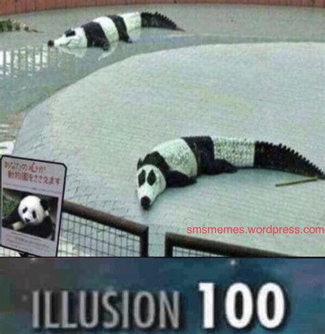 Illusion 100 Meme By Smsmemes Memedroid