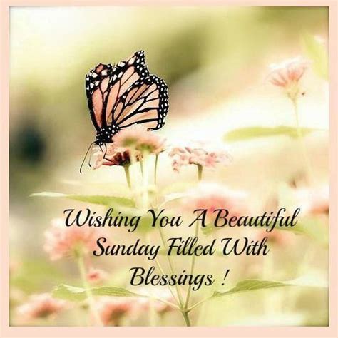 Wishing You A Beautiful Sunday Pictures Photos And Images For