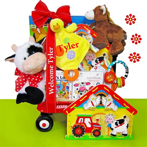 Have To Have It Baby Einstein Day On The Farm Baby T Basket 13995