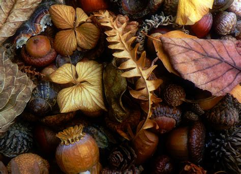 Autumn Things Jigsaw Puzzle