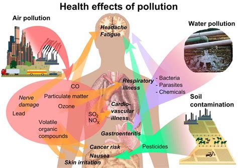 Effects Of Air Pollutants On Human Health