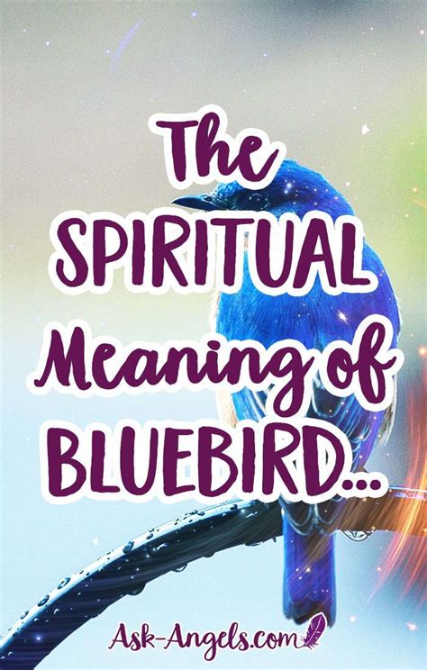 The Spiritual Meaning Of Bluebird Bluebird Tattoo Blue Bird Spiritual Meaning