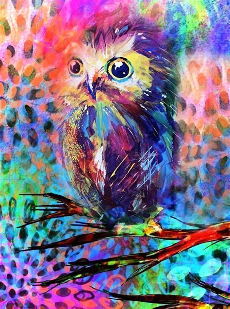 Colourful Owl Illustrator Unknown Owl Painting Bird Art Owls Drawing