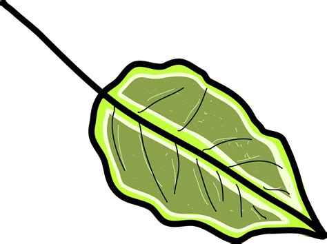 Green Amazing Leaf Illustration Vector On White Background 13750028