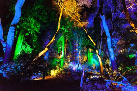 Enchanted Forest Of Light Returns With Even More Stunning Illuminated