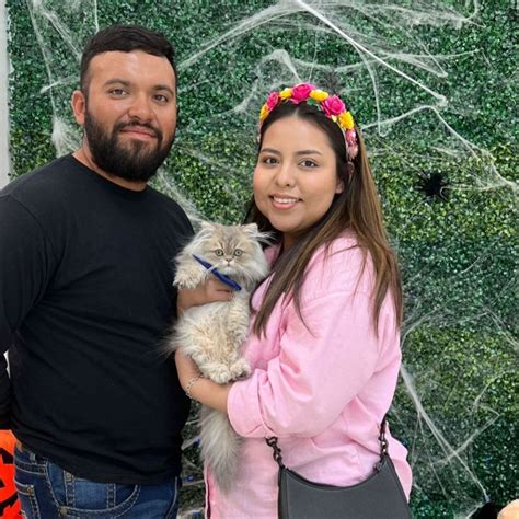 Available Pets – Page 2 – My Store