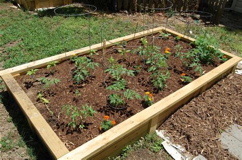 The Conservatory Simple Soil Recipe For Raised Beds