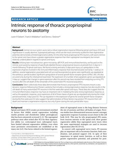 Pdf Intrinsic Response Of Thoracic Propriospinal Neurons To Axotomy