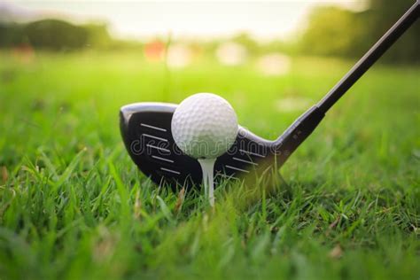 Golf Club And Ball In Green Grass Stock Photo Image Of Health Close