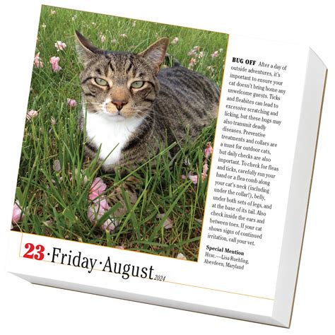 Workman Calendars 365 Cats Page A Day Calendar 2024 Yorkdale Mall
