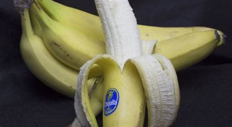 Bananas Versus Fungi Why A Favorite Fruit Is In Danger