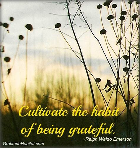 Cultivate The Habit Of Being Grateful Gratitude Gratitudehabitat