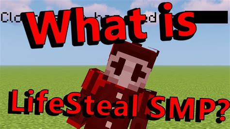 What Is The Lifesteal Smp Youtube