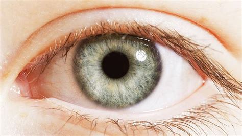 Want to save all of your favorite pictures of blue eyes, and other photos & images on lovethispic? Higher cancer risk for those with blue eyes | News | The ...