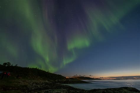 Northern Lights Tromso Chasing The Lights In Norway