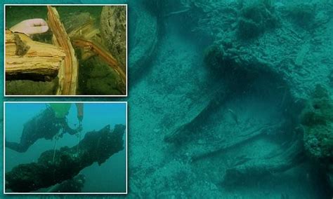 60000 Year Old Forest Found 60 Feet Underwater Off The Alabama Coast
