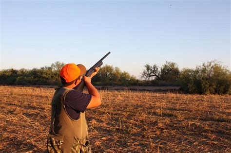 New Dove Hunting In Arizona Season Features Increased Bag Limit News