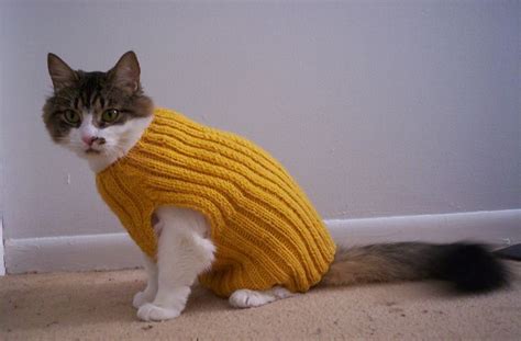 33 Designs Sphynx Cat Sweater Sewing Pattern Rhiannelexii