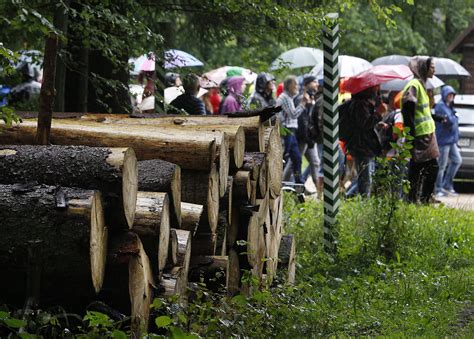 People From Across Europe Protest Logging In Polish Forest The Spokesman Review
