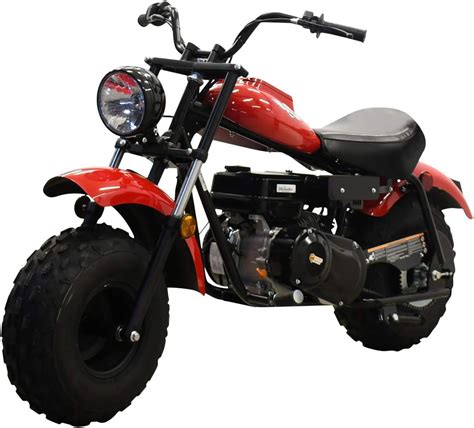 X Pro Supersized 200cc Youth Mini Bike Gas Powered Mini