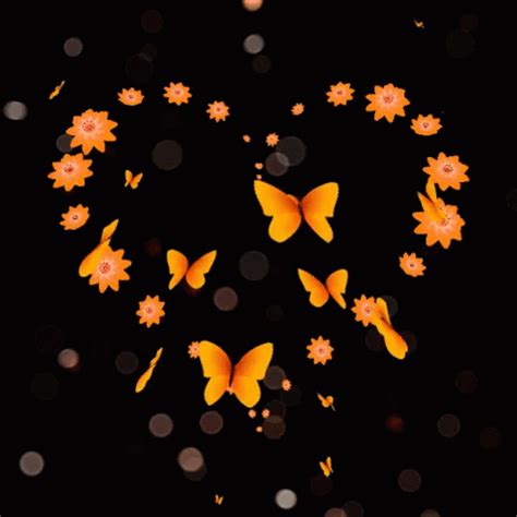 Orange Butterflies Forming Heart 