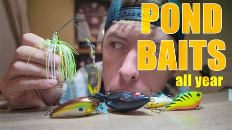 Best Pond Fishing Baits To Use Year Round