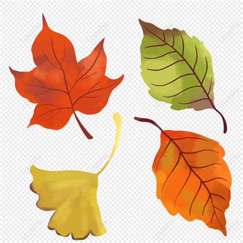 Autumn Leaf Material Download Autumn Material Material Fallen Leaves