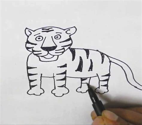 More images for how to draw a tiger easy step by step » How to draw a Tiger-in easy steps for children, kids ...