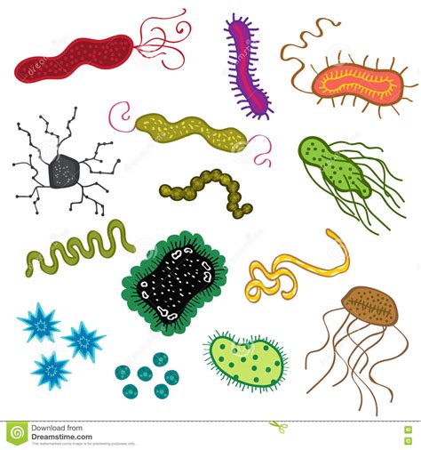 .regalo virus batterio bacterio portachiavi laboratorio nelle opzioni è possibile scegliere: Il Bacillo Epidemico Icone Dei Germi Delle Cellule Del ...