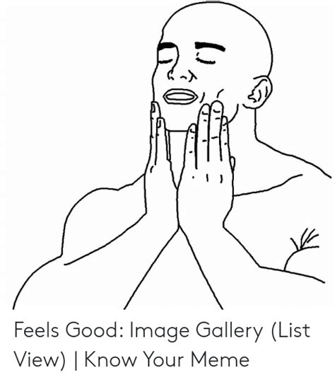 Feels Good Image Gallery List View Know Your Meme Meme On Meme