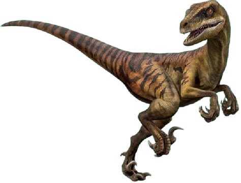 Velociraptor Echo Render By Jurassicworldcards On Deviantart