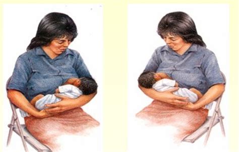 Blog Para Pediatras En Formaci N Lactancia Materna