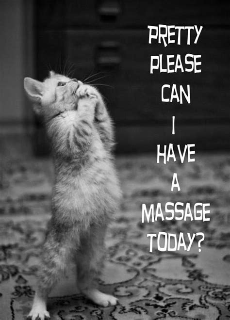 Yes Even Cats Like Massages Massage Therapy Massage Funny