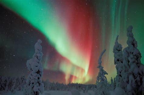 Experience The Northern Lights Aurora Borealis In Rovaniemi Visit
