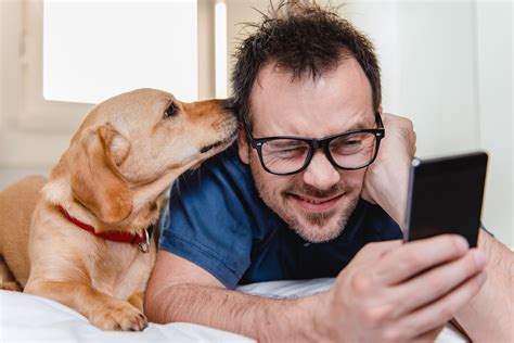 Our App Makes Caring For Your Pet Easier