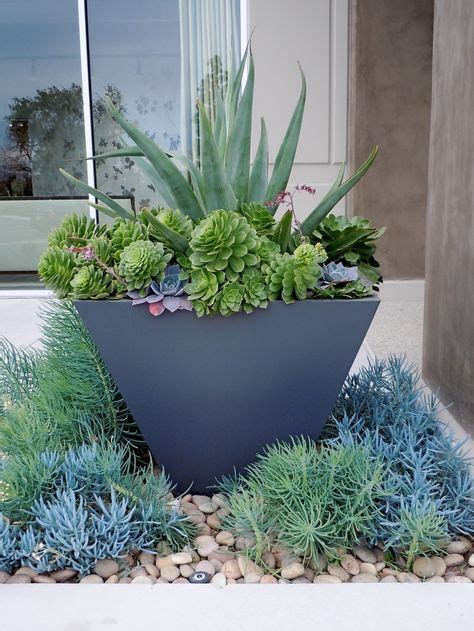 Large Succulent Pots 70 Ideas Succulents In Containers Planting