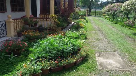 Cara Membuat Landskap Halaman Rumah Kampung Destaman