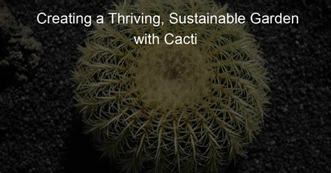 Creating A Thriving Sustainable Garden With Cacti Cactus Path