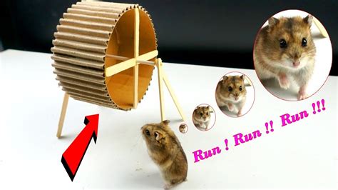 How To Make A Hamster Wheel Easy From Cardboard Diy Hamster Toy Youtube