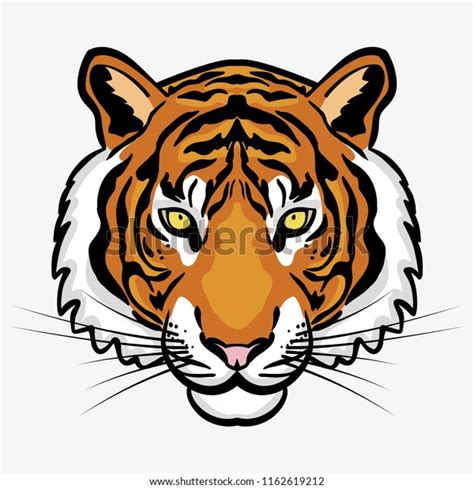 Tiger Head Illustration Vector Stock Vector Royalty Free 1162619212