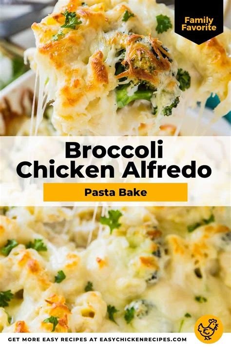 Broccoli Chicken Alfredo Easy Chicken Recipes