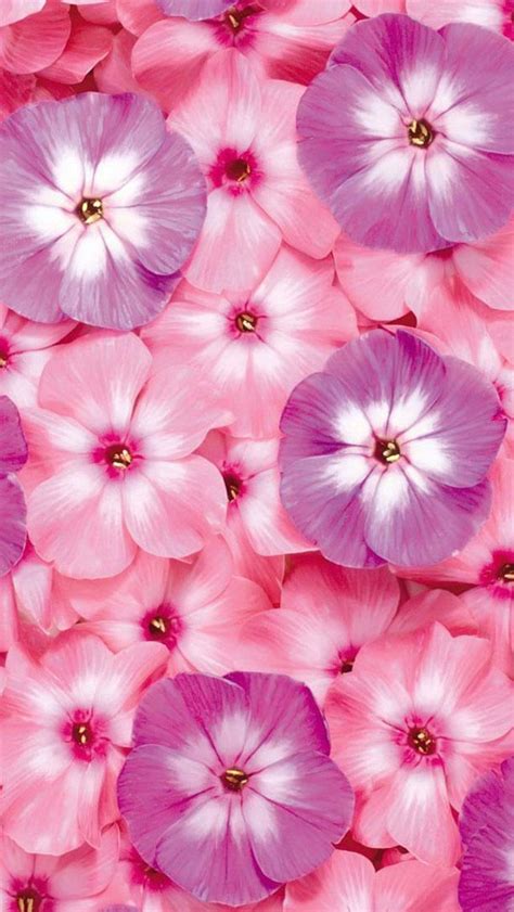 Pink Iphone Wallpaper Bing Images Flowery Wallpaper Wallpaper