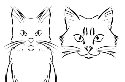 How To Improve My Cat Drawings Quora