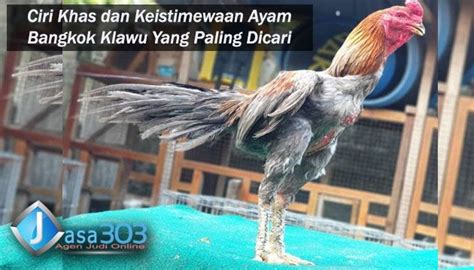 We did not find results for: Ayam Ninja Katana - Ayam Mania