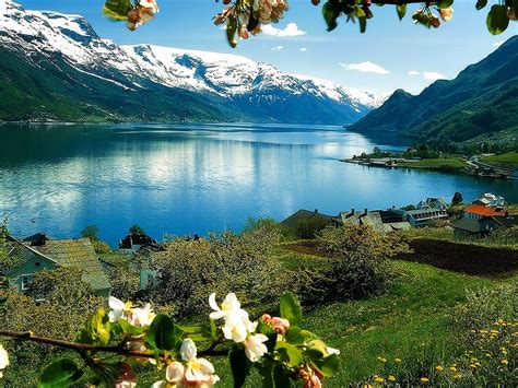 Lago En Noruega Lago Flores Naturaleza Noruega Fondo De Pantalla