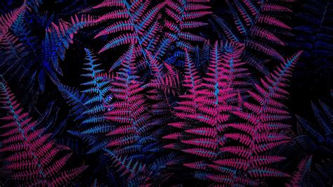Neon Plants Wallpapers Hd Wallpapers Id 29408